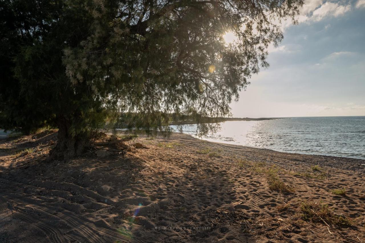 Alexandros Luxury House Villa Falasarna Bagian luar foto